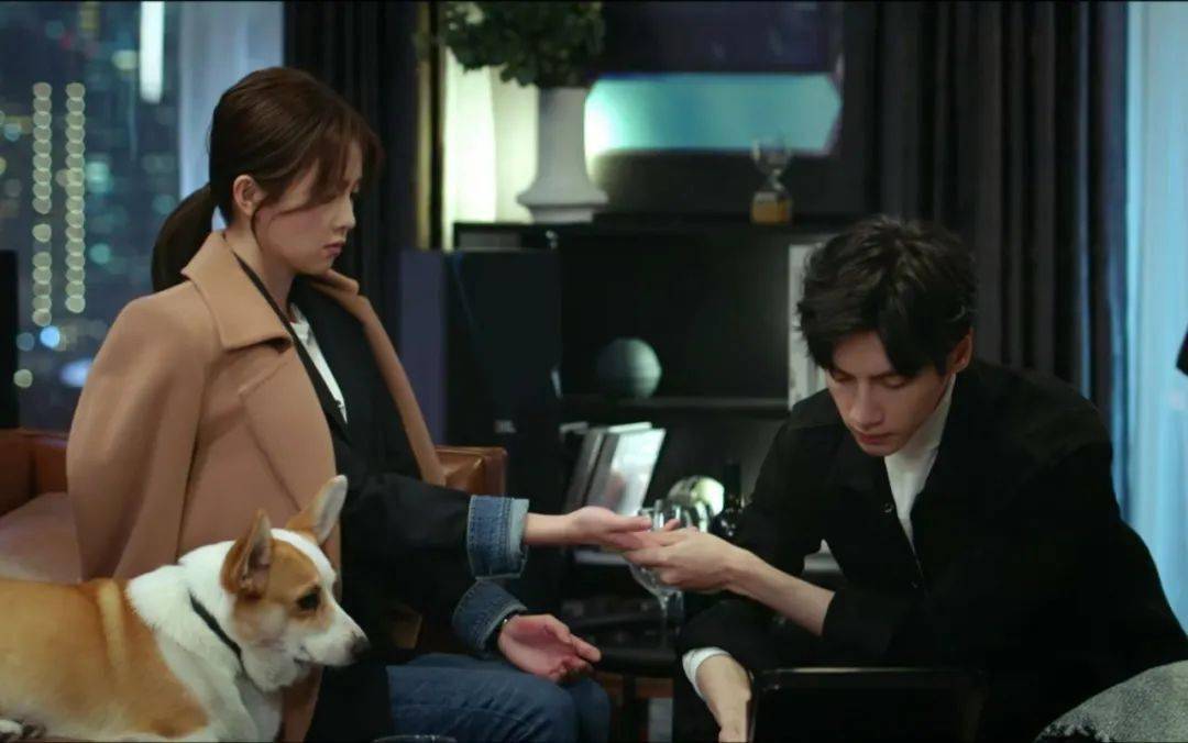 弧度|把低马尾扎得像恋爱一样甜