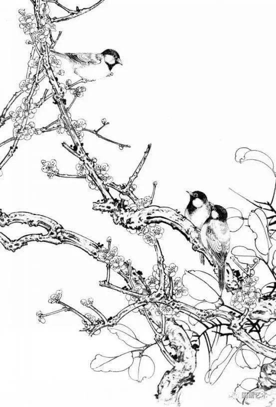 白描素材,多幅梅花小鸟