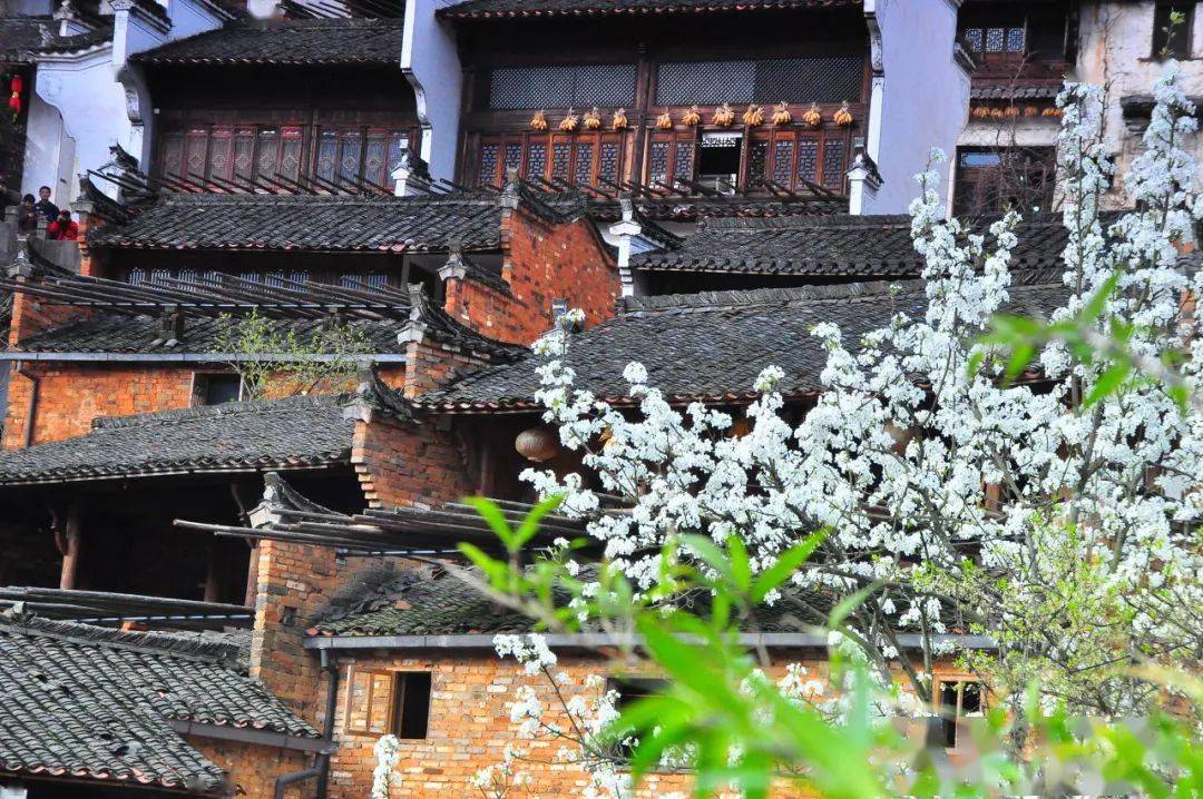 中国最美小镇旅游 6857e97ee9934539a46a0b76ebac4b47.jpeg