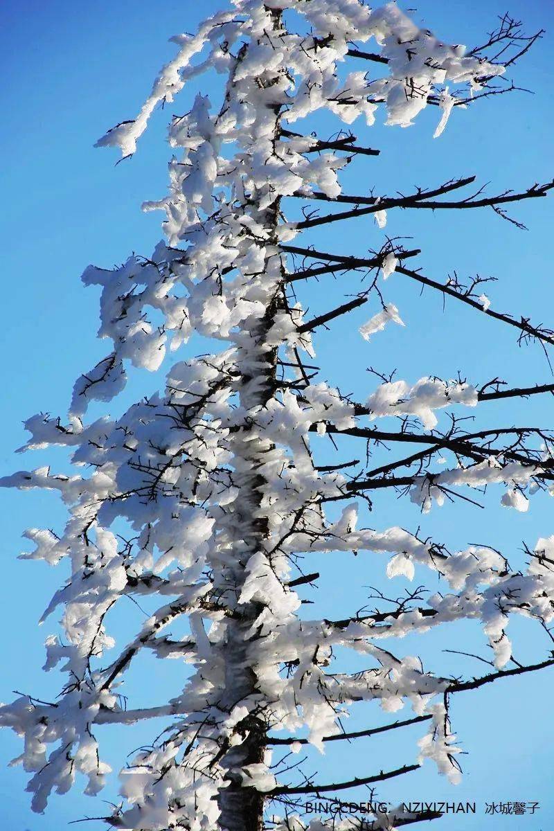 雪乡天路,在秋叶与初雪共舞的诗意里穿行