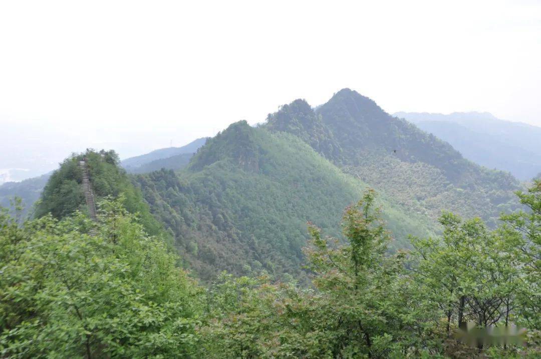 有云雾山,巴岳山,英山,箕山,黄瓜山等5条北东至西南走向的条状低山