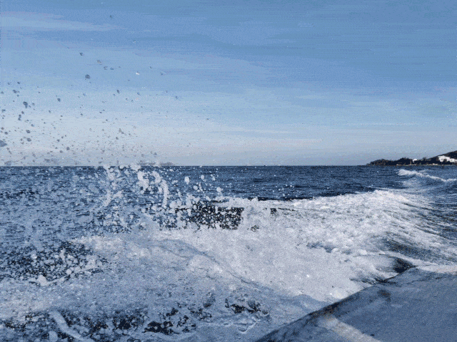 岛外的小伙伴,你们的夏天真的要过完了哟~()Ψ