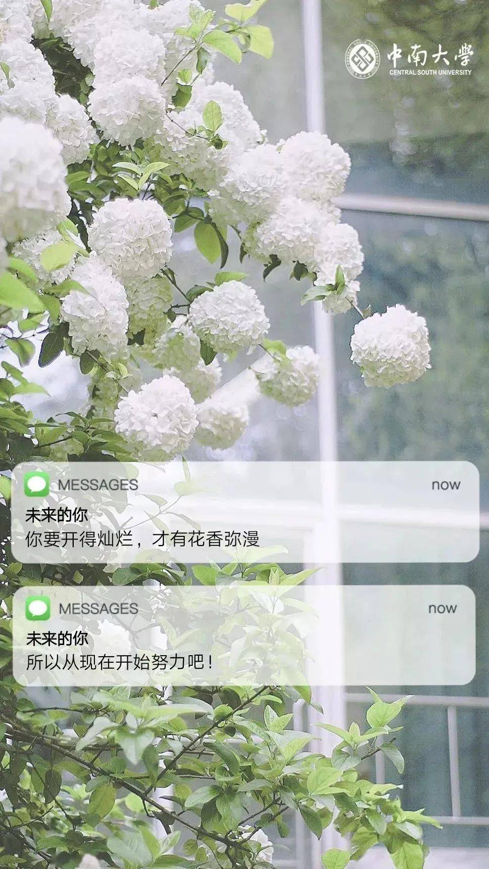 公众|终于被做成手机壁纸了!【理想大学】你的理想大学