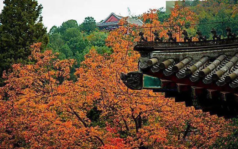 香山的底座怎么搭视频_香山红叶简笔画怎么画(2)