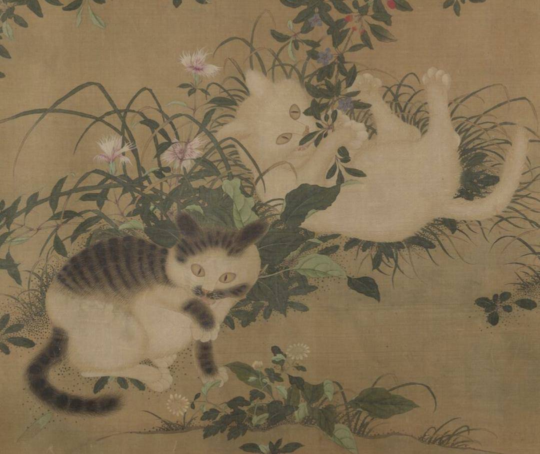 小猫|2万人围观“宋朝人买猫下聘礼”，古代铲屎官：别小瞧这行