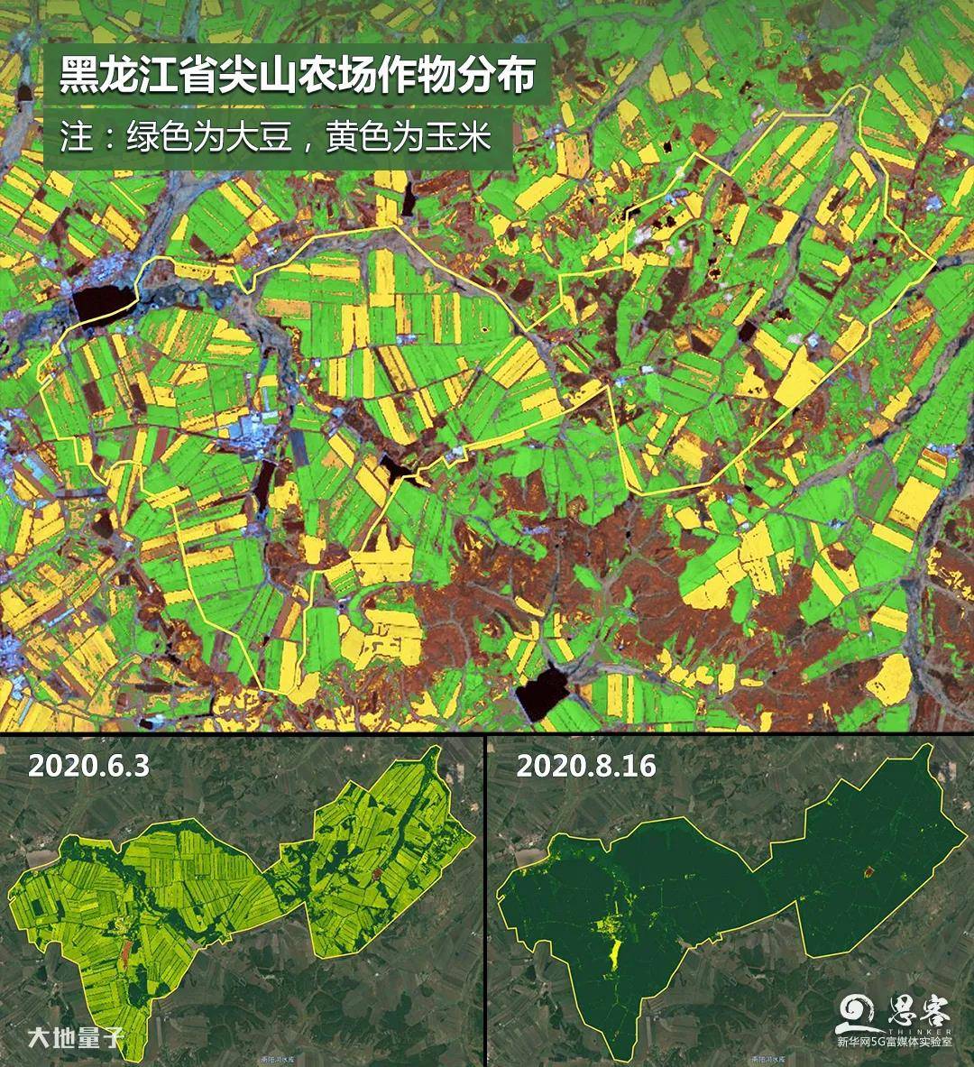 遥感卫星给出了这样的答案…_农作物