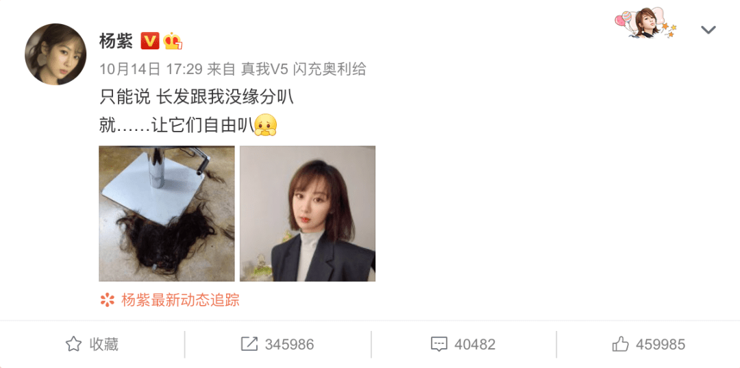 短发|剪了短发的杨紫，又让我心动了！