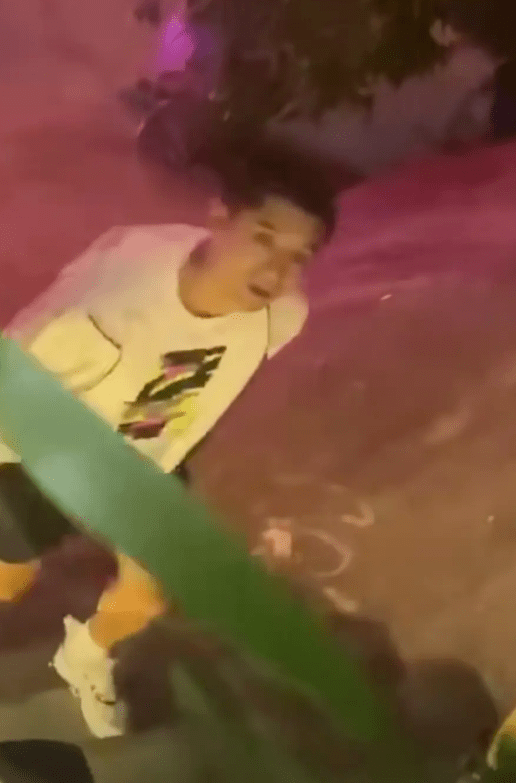 张继科|大瓜！金晨和张继科在一起了？