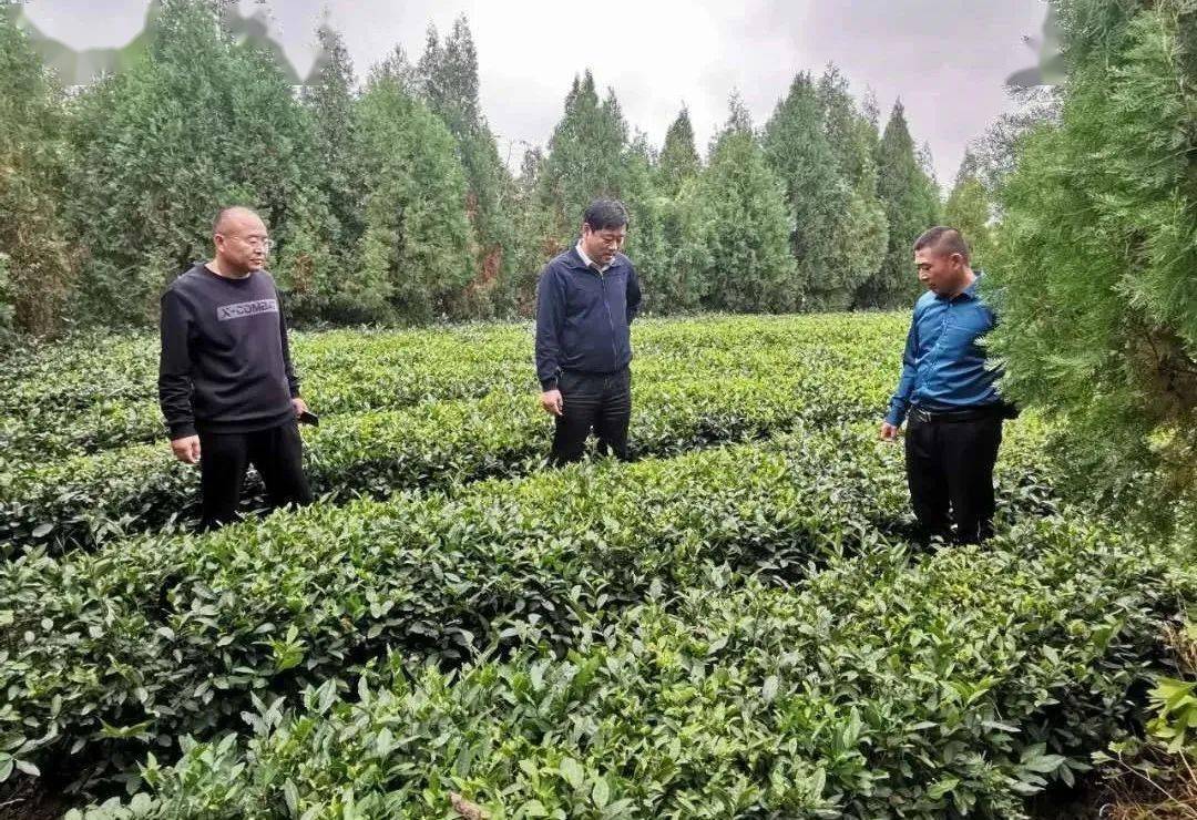 曲谱黄河的源头在哪里(3)