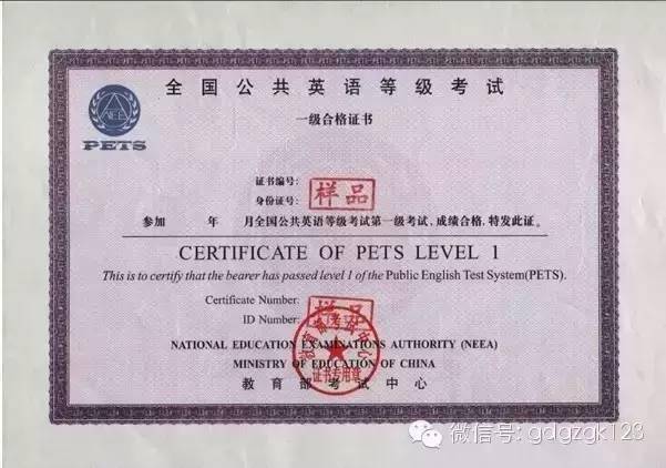 教育基础综合证书,生物技术基础证 书,护理证书,烹饪证书,美术