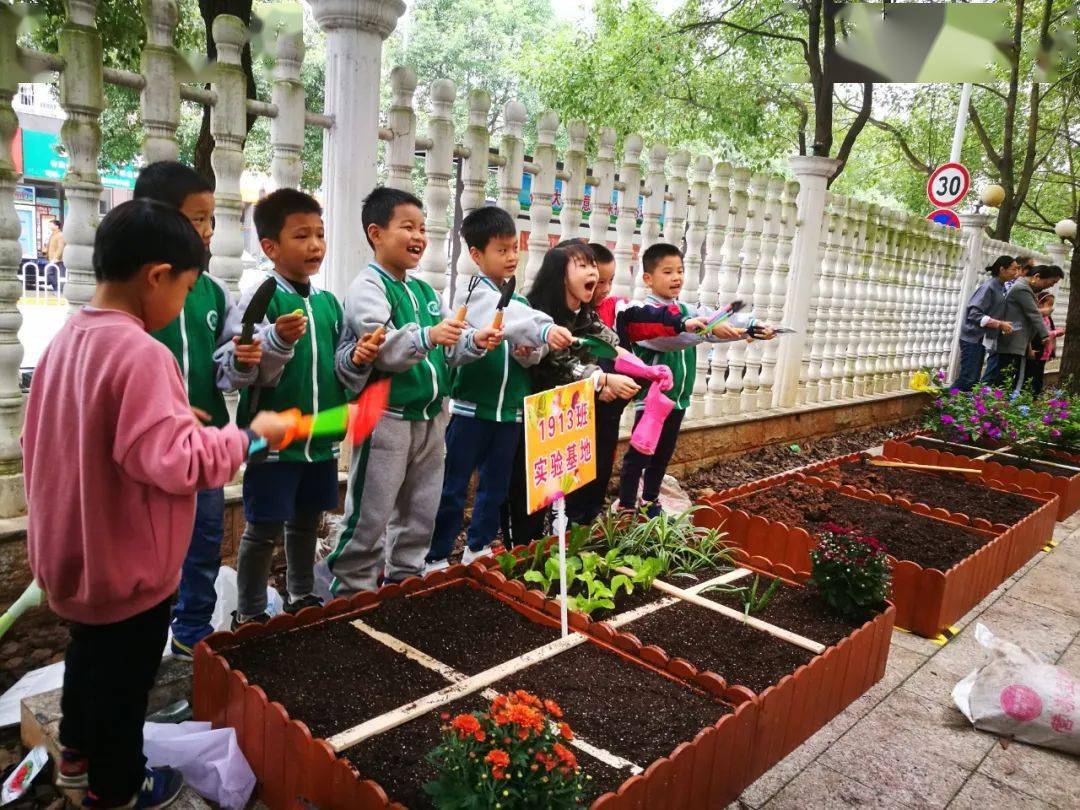 禹娃爱劳动种植劳动初体验校园农场显生机