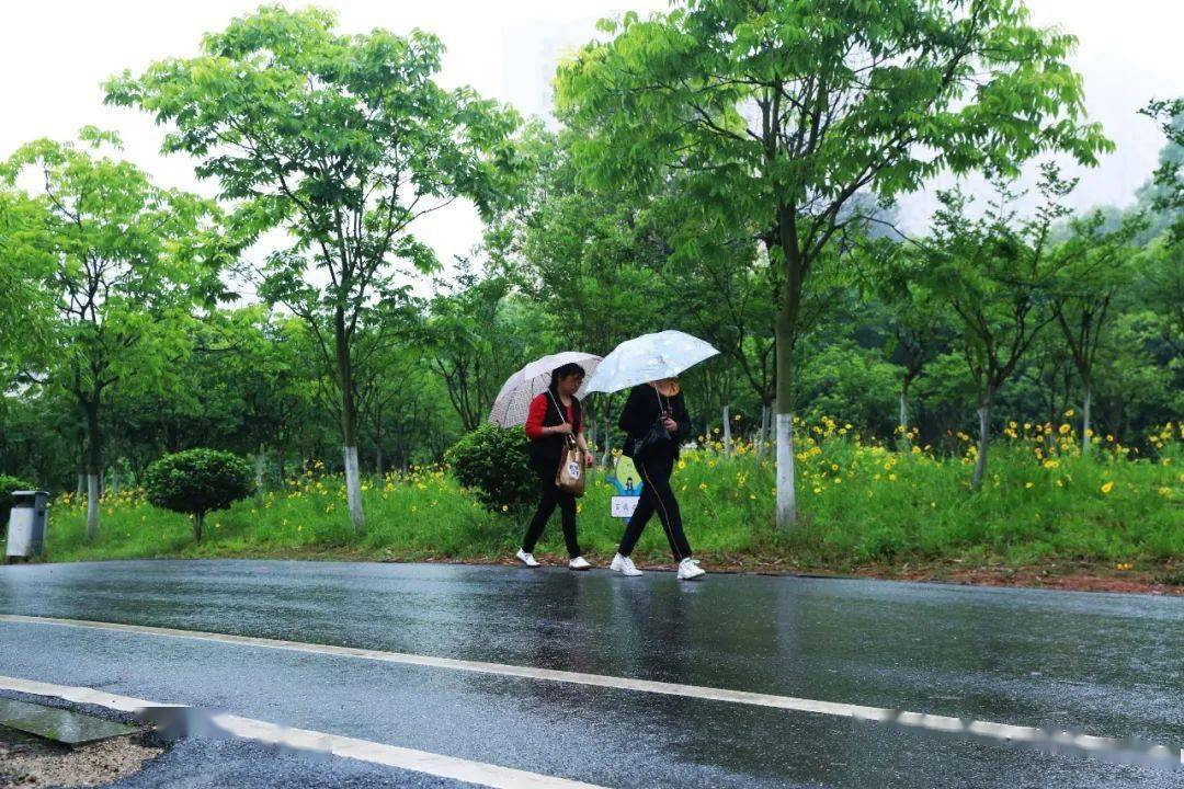 玉潭公园的规划设计 以生态为主题,用生态手法打造优美的环境,营造