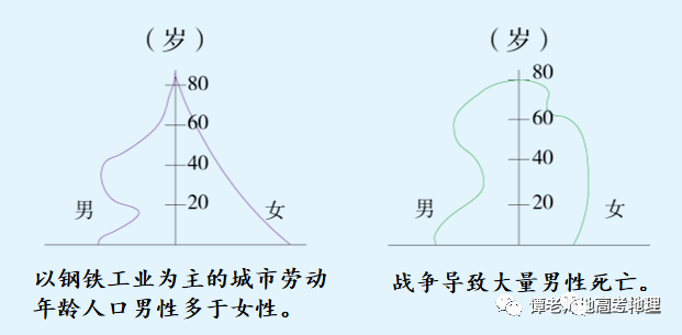 人口自然结构_人口年龄结构金字塔图(3)