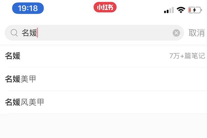 “名媛们”在小红书等晒账单,能自证“清白”吗
