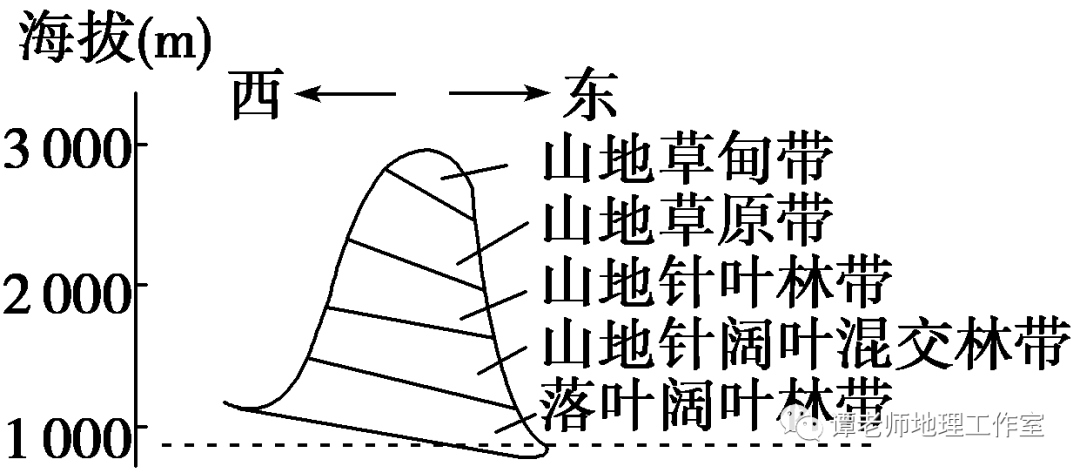 【备考干货】高考微专题:山地垂直带谱图的判读