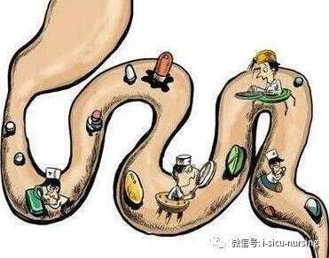 身体常有"肠鸣音"，请不要大意！