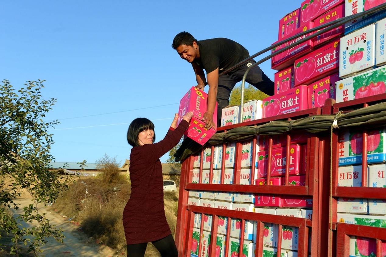 淘宝|阿里脱贫凸显生态协同力量淘宝主播店主同获全国脱贫攻坚最高表彰
