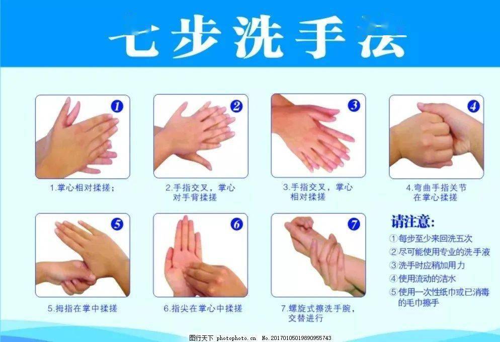 用什么方法可以快速清理地上毛发 648eac09025b41fba46dcd983e82a953.jpeg