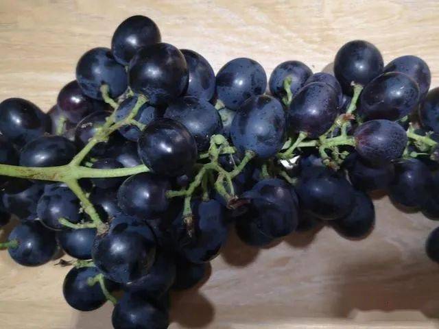 普通葡萄改了个名字价格翻了5倍这样的黑葡萄心太黑
