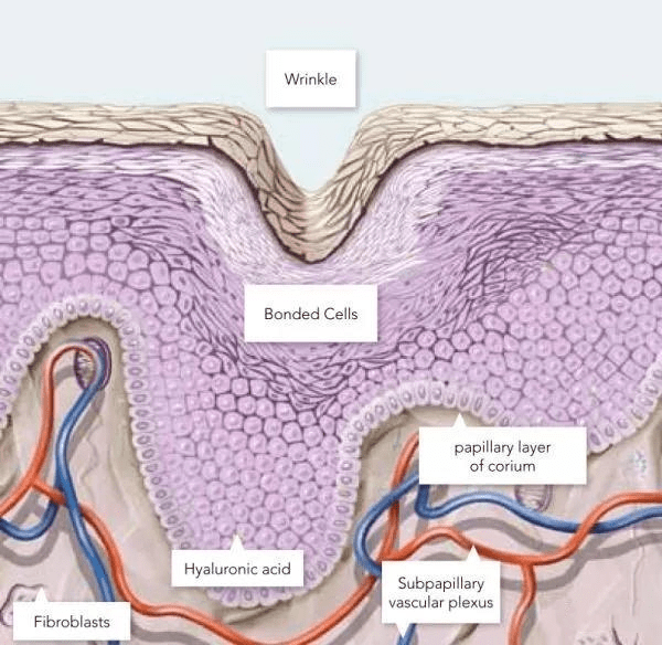 野心|钟楚曦素颜生图流出，她的野心也太大了...