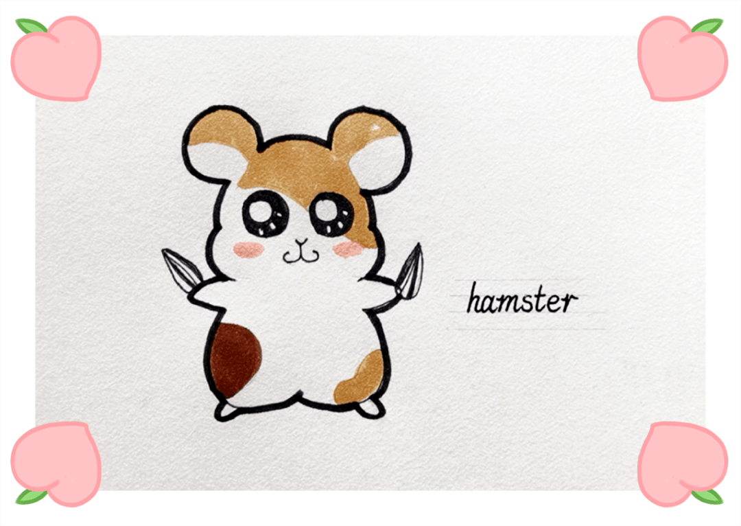 英语萌萌画 | hamster 仓鼠