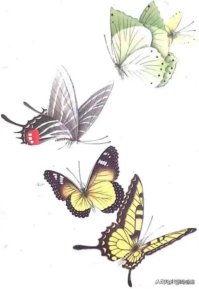034b1e07bf0a45b08b2b1c8e95f8ff3f.jpeg