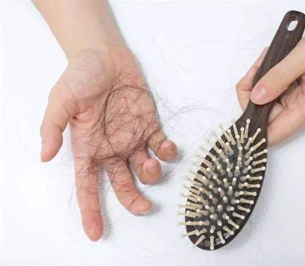 白头发"拔一根长十根"到底是真是假?