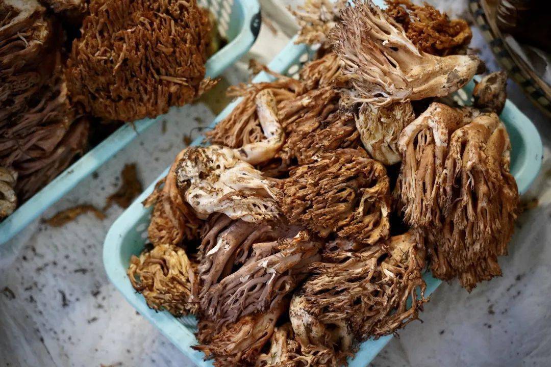 昆明人口流入还是流出_昆明松江夫妻流出(3)