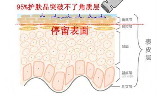 清洁|电动牙刷真的比普通牙刷好吗？我替你们问了医生