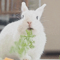 女生|为什么现在的女生，越长大越丑？