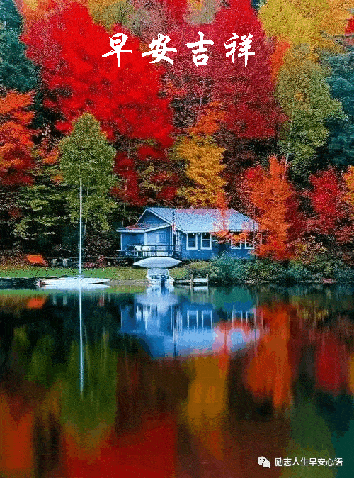 500_674 竖版 竖屏