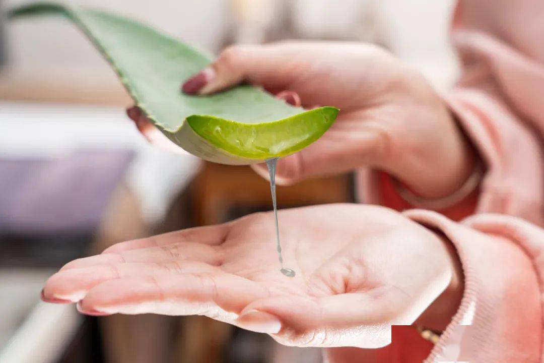 芦荟|薅羊毛啦！59.9元抢芦荟灌肤+滋养水疗+头皮清洁养护！谁做谁赚谁少女！