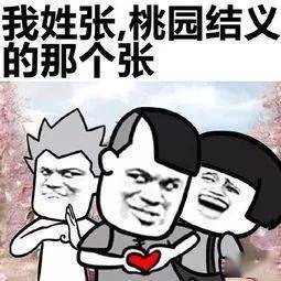 独姓氏人口_姓氏微信头像