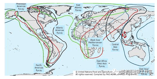 【考向预测】中国候鸟迁徙路线图,满满的都是考点!