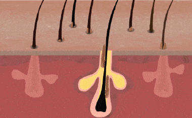 什么|连头发都快拼没了，你拿什么安身立命？