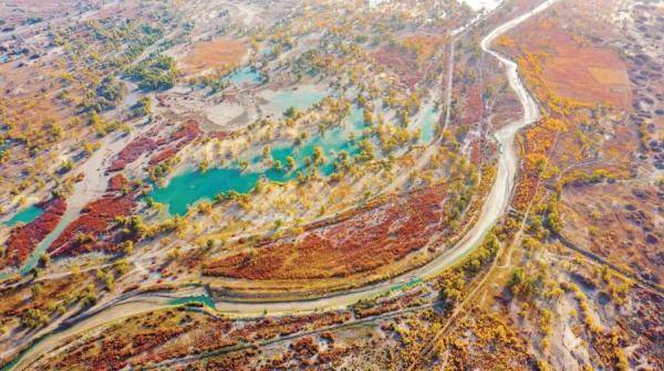看！五彩斑斓的绚丽新疆_塔里木河