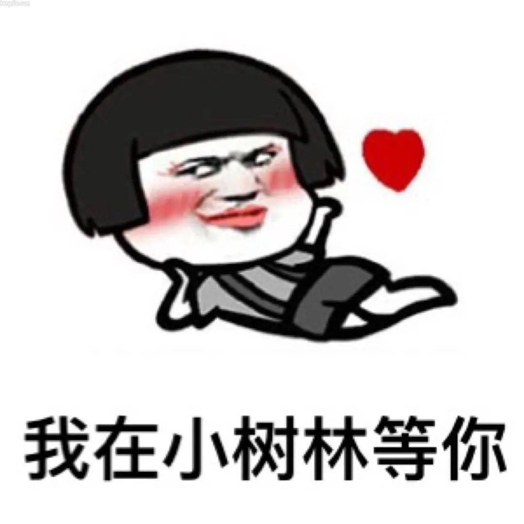 天鹅绒|测评｜YSL在线鲨人，天鹅绒限定唇釉一支比一支好看！