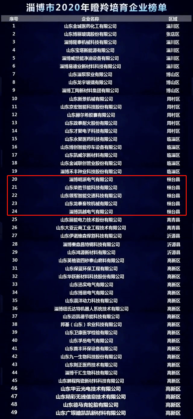 淄博工业经济总量_淄博经济开发区规划图(3)