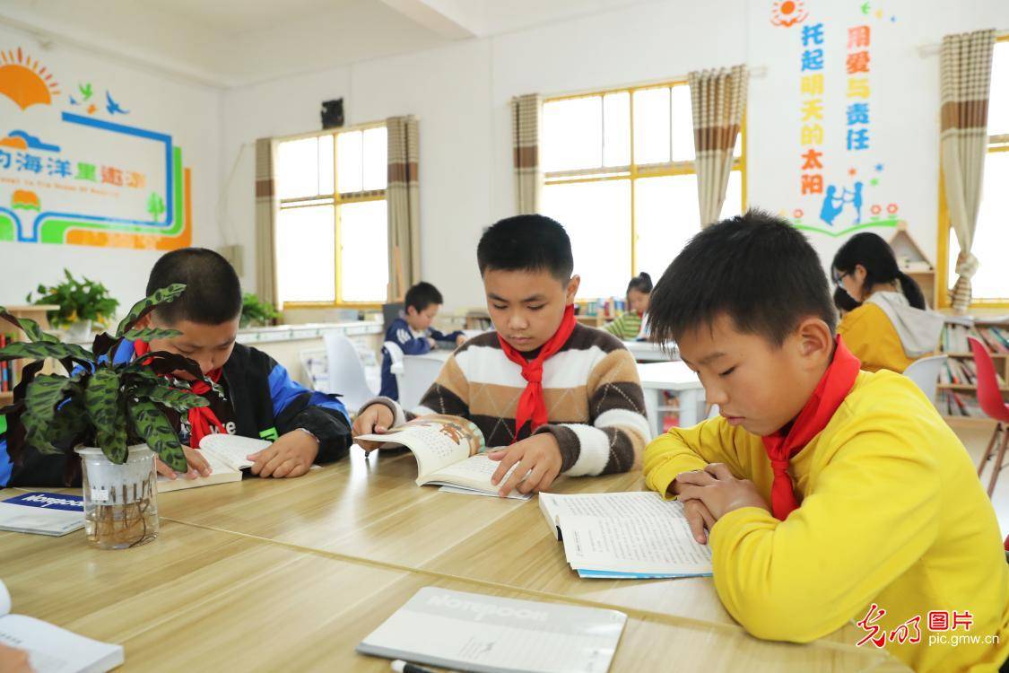 新田县|湖南新田：校园生活 丰富多彩