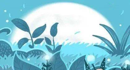 连续两天做梦梦到蛇,梦境背后的深层含义与心理解析 连续两天做梦梦到蛇,梦境背后的深层含义与心理解析