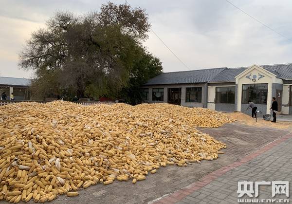 景区|【文化扶贫在行动】内蒙古科左中旗：依托景区延长产业链 助力群众增收