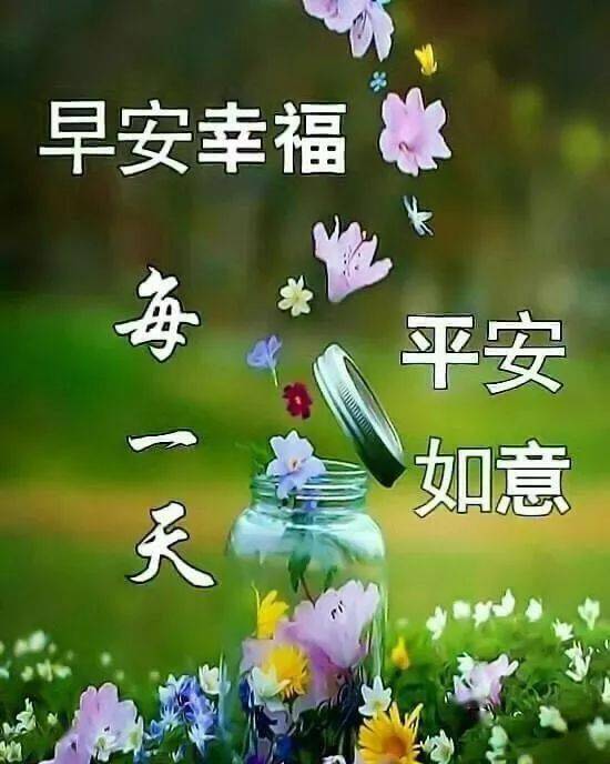 2020群发早安问候祝福动态图片,清晨暖心的问候祝福语