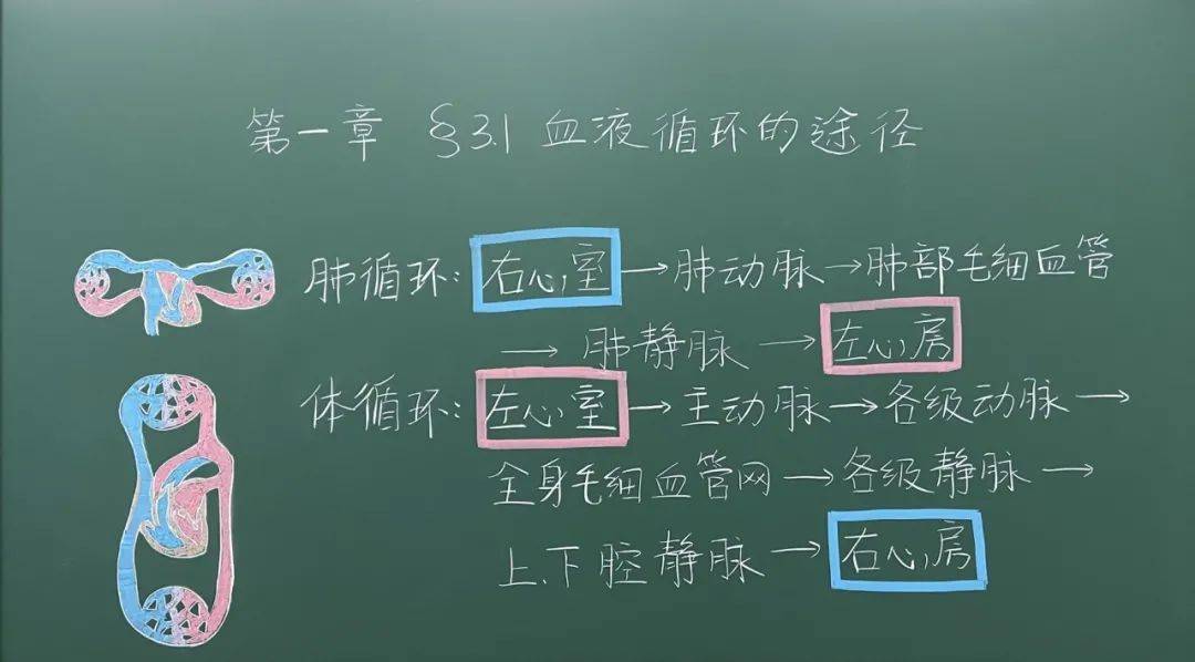 板书|写板书是一门技术也是一门艺术，来看上海教师们的板书