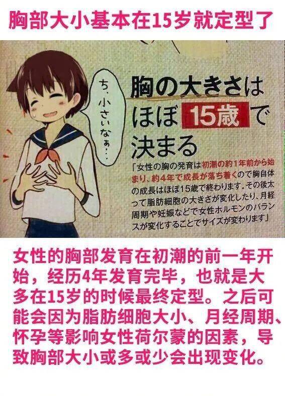 女孩子的胸部基本在15岁就定型了日本网友感觉受到了暴击