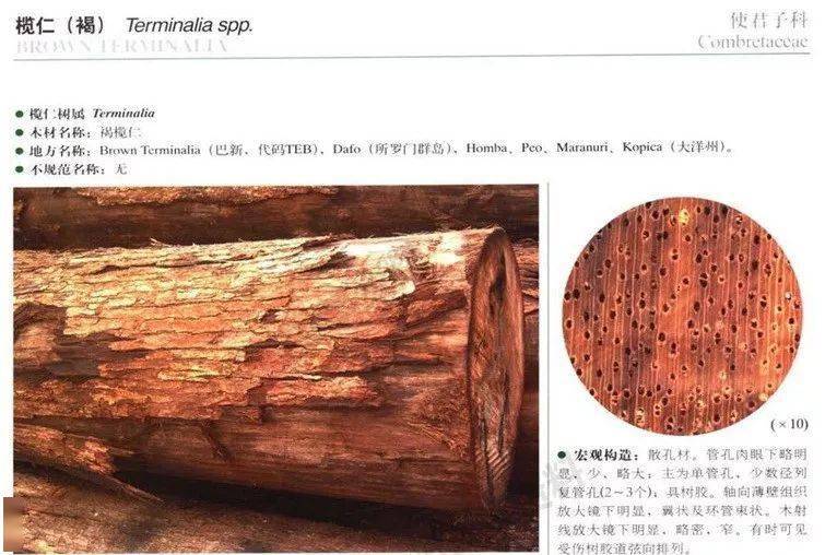 人均木毛(2)