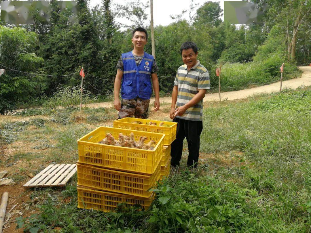 苏圩佳棉村人口_苏圩镇联英村奚秋发图