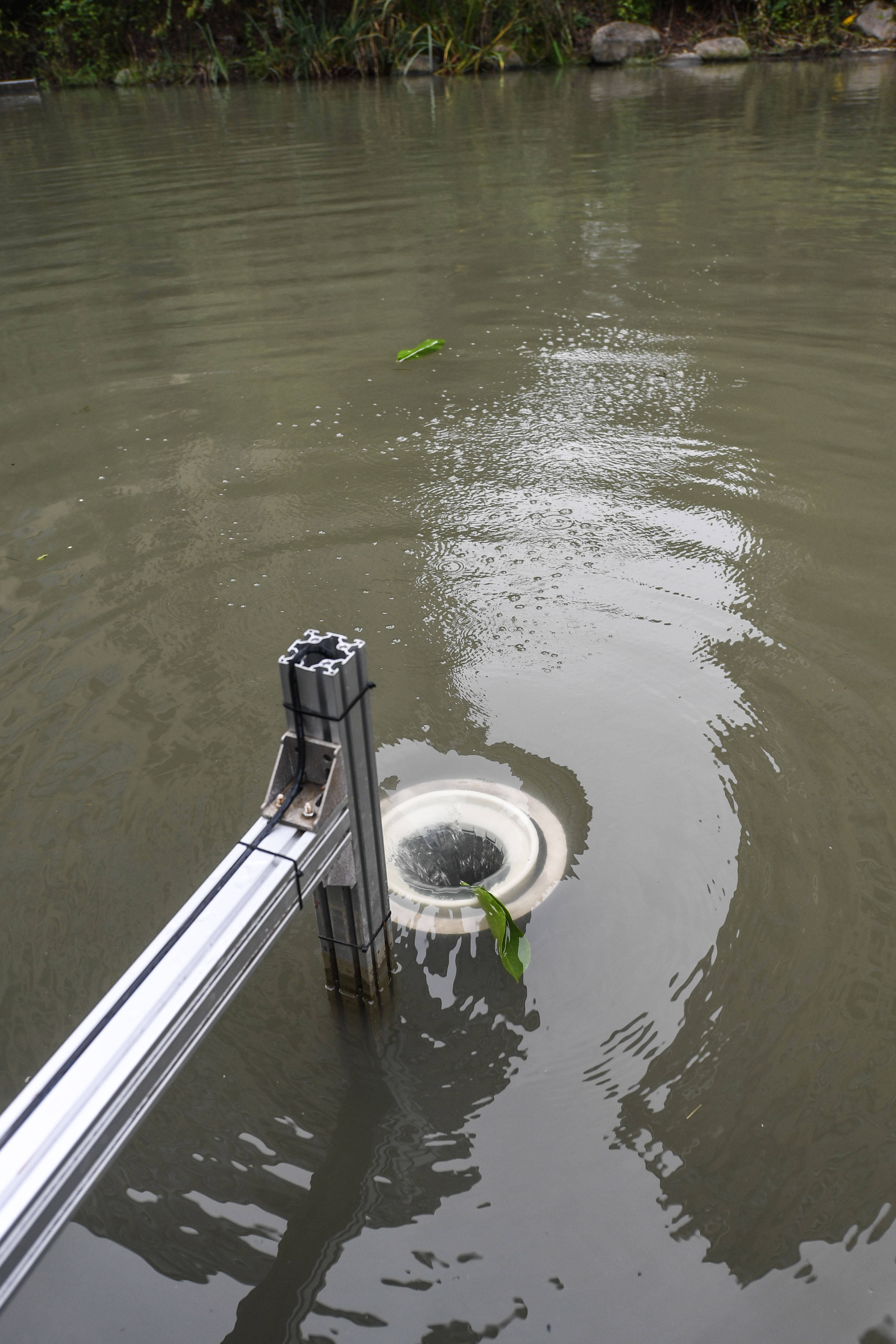 新街道横河港河道水域的河道垃圾自动清扫系统正在收集水面漂浮的树叶