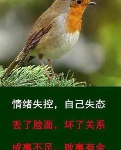 情商低怎么办