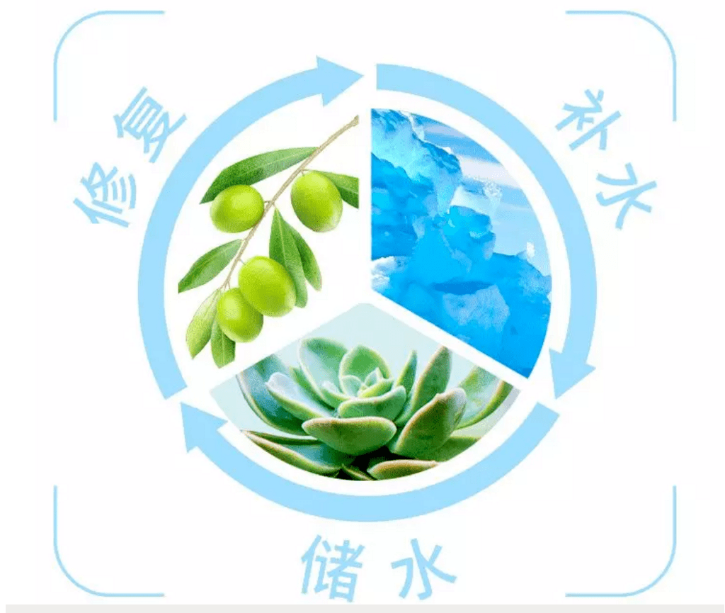 ml|5折捡漏不买后悔!科颜氏高保湿面霜限量购!秋冬敏感、干皮闭眼入!