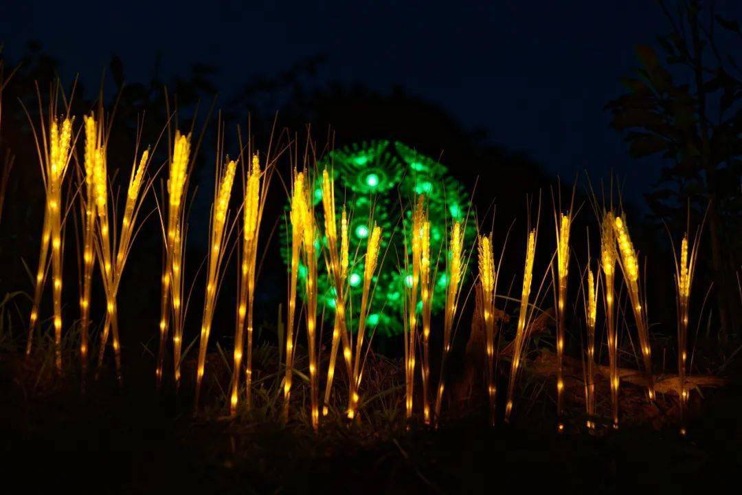 公园景观灯光 96ef282fd54e4c03a99320d125a8eda3.jpeg